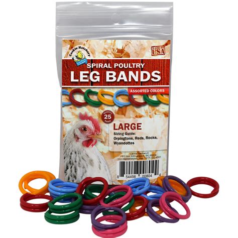 chicken ankle bands